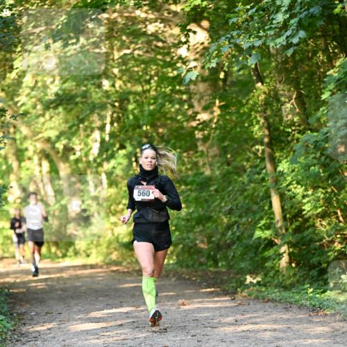 06.10.2024 - Bramfelder Halbmarathon 2024 Dr. Thomas Lammeyer http://msf.ph/oto/7334262 06.10.2024 09:49:37 Laufen 560 meine-sportfotos.de