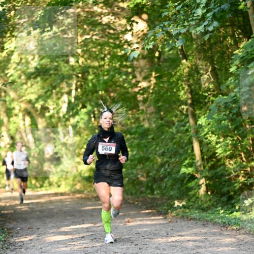 06.10.2024 - Bramfelder Halbmarathon 2024 Dr. Thomas Lammeyer http://msf.ph/oto/7334263 06.10.2024 09:49:37 Laufen  meine-sportfotos.de