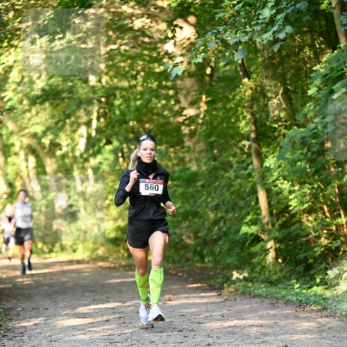 06.10.2024 - Bramfelder Halbmarathon 2024 Dr. Thomas Lammeyer http://msf.ph/oto/7334264 06.10.2024 09:49:37 Laufen 560 meine-sportfotos.de
