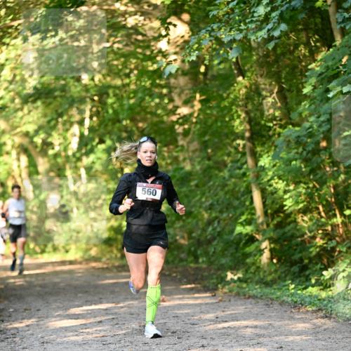 06.10.2024 - Bramfelder Halbmarathon 2024 Dr. Thomas Lammeyer http://msf.ph/oto/7334265 06.10.2024 09:49:37 Laufen 560 meine-sportfotos.de