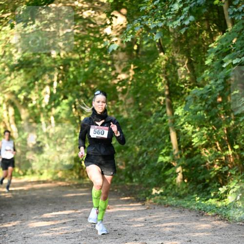 06.10.2024 - Bramfelder Halbmarathon 2024 Dr. Thomas Lammeyer http://msf.ph/oto/7334266 06.10.2024 09:49:37 Laufen 560 meine-sportfotos.de