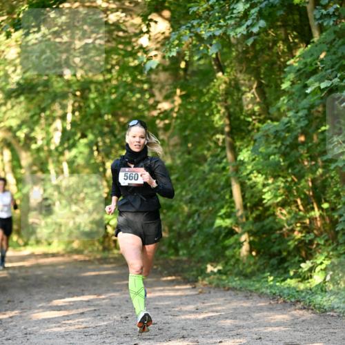 06.10.2024 - Bramfelder Halbmarathon 2024 Dr. Thomas Lammeyer http://msf.ph/oto/7334267 06.10.2024 09:49:38 Laufen 560 meine-sportfotos.de