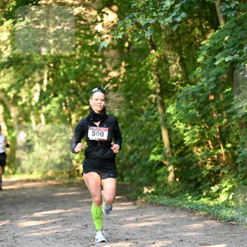 06.10.2024 - Bramfelder Halbmarathon 2024 Dr. Thomas Lammeyer http://msf.ph/oto/7334268 06.10.2024 09:49:38 Laufen 560 meine-sportfotos.de