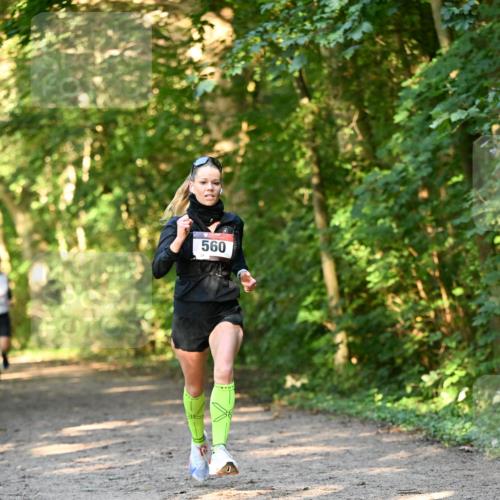 06.10.2024 - Bramfelder Halbmarathon 2024 Dr. Thomas Lammeyer http://msf.ph/oto/7334269 06.10.2024 09:49:38 Laufen 560 meine-sportfotos.de