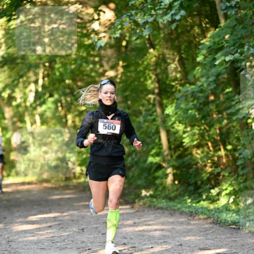 06.10.2024 - Bramfelder Halbmarathon 2024 Dr. Thomas Lammeyer http://msf.ph/oto/7334270 06.10.2024 09:49:38 Laufen 560 meine-sportfotos.de