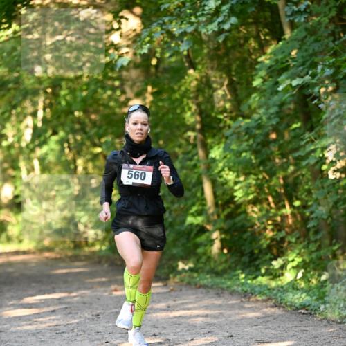 06.10.2024 - Bramfelder Halbmarathon 2024 Dr. Thomas Lammeyer http://msf.ph/oto/7334271 06.10.2024 09:49:38 Laufen 560, 24 meine-sportfotos.de