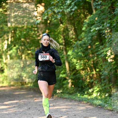 06.10.2024 - Bramfelder Halbmarathon 2024 Dr. Thomas Lammeyer http://msf.ph/oto/7334272 06.10.2024 09:49:38 Laufen 560, 24 meine-sportfotos.de