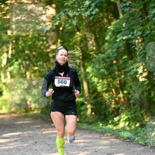 06.10.2024 - Bramfelder Halbmarathon 2024 Dr. Thomas Lammeyer http://msf.ph/oto/7334273 06.10.2024 09:49:38 Laufen 560 meine-sportfotos.de