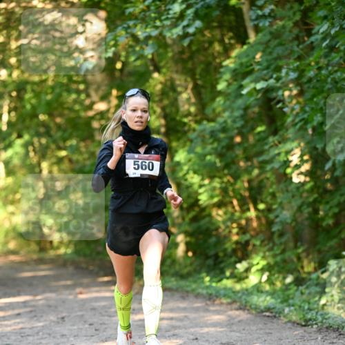 06.10.2024 - Bramfelder Halbmarathon 2024 Dr. Thomas Lammeyer http://msf.ph/oto/7334274 06.10.2024 09:49:39 Laufen 560 meine-sportfotos.de