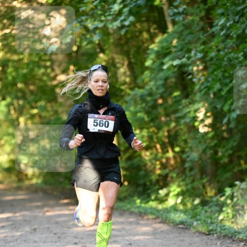 06.10.2024 - Bramfelder Halbmarathon 2024 Dr. Thomas Lammeyer http://msf.ph/oto/7334275 06.10.2024 09:49:39 Laufen  meine-sportfotos.de