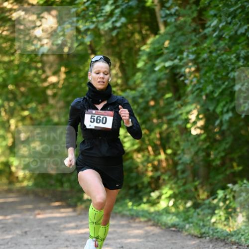 06.10.2024 - Bramfelder Halbmarathon 2024 Dr. Thomas Lammeyer http://msf.ph/oto/7334276 06.10.2024 09:49:39 Laufen 560 meine-sportfotos.de