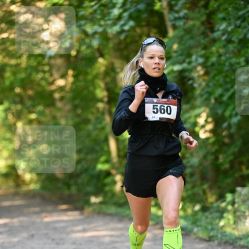 06.10.2024 - Bramfelder Halbmarathon 2024 Dr. Thomas Lammeyer http://msf.ph/oto/7334279 06.10.2024 09:49:39 Laufen 560, 24 meine-sportfotos.de
