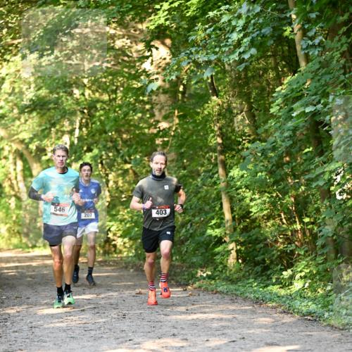 06.10.2024 - Bramfelder Halbmarathon 2024 Dr. Thomas Lammeyer http://msf.ph/oto/7334364 06.10.2024 09:50:09 Laufen 546, 207, 403 meine-sportfotos.de