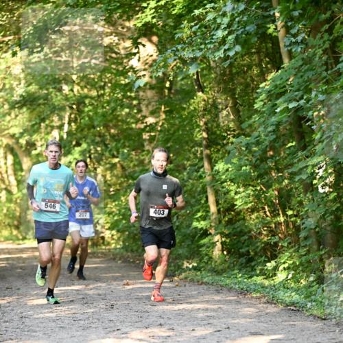 06.10.2024 - Bramfelder Halbmarathon 2024 Dr. Thomas Lammeyer http://msf.ph/oto/7334366 06.10.2024 09:50:09 Laufen 546, 403, 207 meine-sportfotos.de