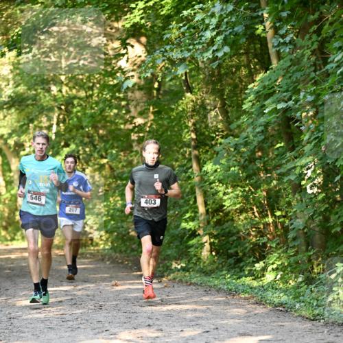 06.10.2024 - Bramfelder Halbmarathon 2024 Dr. Thomas Lammeyer http://msf.ph/oto/7334367 06.10.2024 09:50:10 Laufen 546, 207, 403 meine-sportfotos.de
