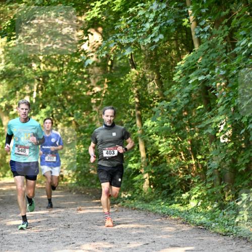 06.10.2024 - Bramfelder Halbmarathon 2024 Dr. Thomas Lammeyer http://msf.ph/oto/7334368 06.10.2024 09:50:10 Laufen  meine-sportfotos.de