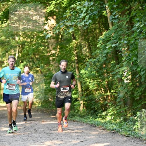 06.10.2024 - Bramfelder Halbmarathon 2024 Dr. Thomas Lammeyer http://msf.ph/oto/7334369 06.10.2024 09:50:10 Laufen 546, 207, 403 meine-sportfotos.de