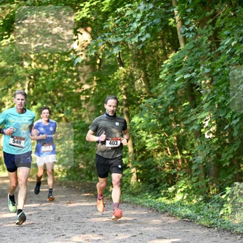 06.10.2024 - Bramfelder Halbmarathon 2024 Dr. Thomas Lammeyer http://msf.ph/oto/7334370 06.10.2024 09:50:10 Laufen 546, 207, 403 meine-sportfotos.de