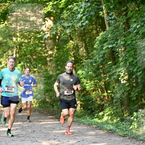 06.10.2024 - Bramfelder Halbmarathon 2024 Dr. Thomas Lammeyer http://msf.ph/oto/7334371 06.10.2024 09:50:10 Laufen 546, 207, 403 meine-sportfotos.de