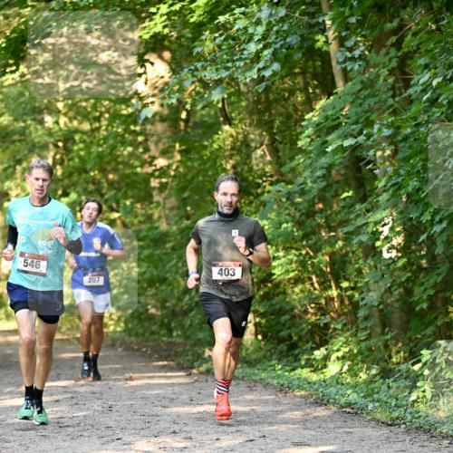 06.10.2024 - Bramfelder Halbmarathon 2024 Dr. Thomas Lammeyer http://msf.ph/oto/7334372 06.10.2024 09:50:10 Laufen 546, 207, 403 meine-sportfotos.de