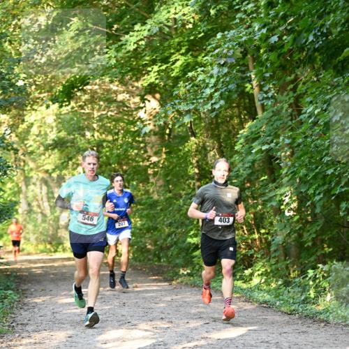 06.10.2024 - Bramfelder Halbmarathon 2024 Dr. Thomas Lammeyer http://msf.ph/oto/7334373 06.10.2024 09:50:11 Laufen 546, 207, 403 meine-sportfotos.de