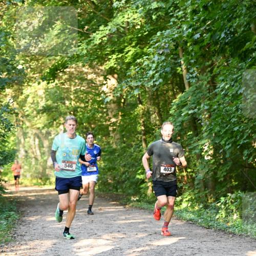 06.10.2024 - Bramfelder Halbmarathon 2024 Dr. Thomas Lammeyer http://msf.ph/oto/7334374 06.10.2024 09:50:11 Laufen 546, 207, 403 meine-sportfotos.de