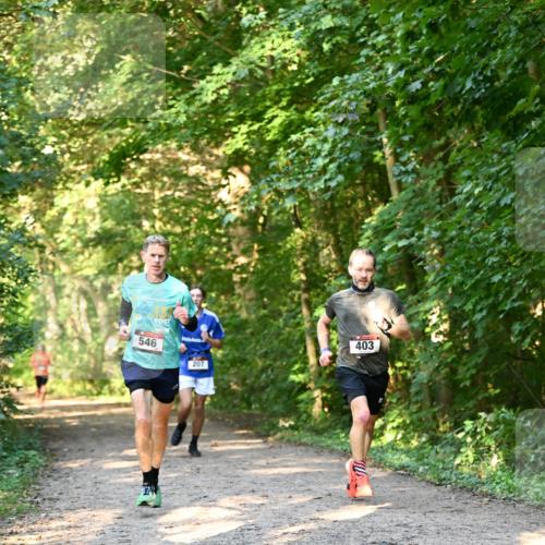 06.10.2024 - Bramfelder Halbmarathon 2024 Dr. Thomas Lammeyer http://msf.ph/oto/7334375 06.10.2024 09:50:11 Laufen 546, 207, 403 meine-sportfotos.de