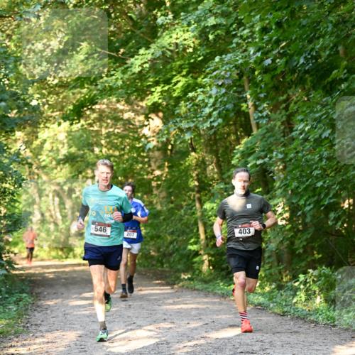 06.10.2024 - Bramfelder Halbmarathon 2024 Dr. Thomas Lammeyer http://msf.ph/oto/7334376 06.10.2024 09:50:11 Laufen 546, 207, 403, 4 meine-sportfotos.de