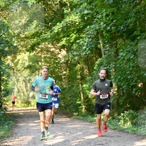 06.10.2024 - Bramfelder Halbmarathon 2024 Dr. Thomas Lammeyer http://msf.ph/oto/7334377 06.10.2024 09:50:11 Laufen 546, 207, 403 meine-sportfotos.de