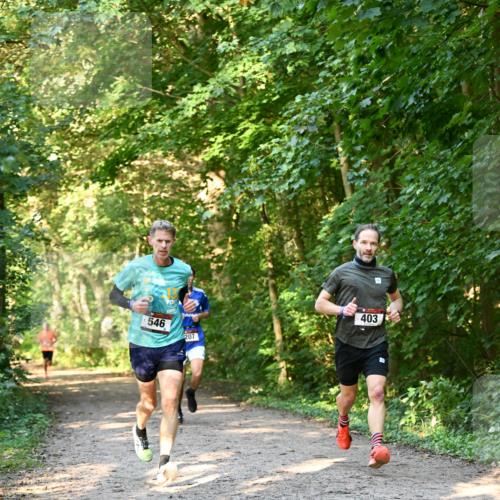 06.10.2024 - Bramfelder Halbmarathon 2024 Dr. Thomas Lammeyer http://msf.ph/oto/7334378 06.10.2024 09:50:11 Laufen 546, 207, 403 meine-sportfotos.de