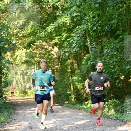 06.10.2024 - Bramfelder Halbmarathon 2024 Dr. Thomas Lammeyer http://msf.ph/oto/7334379 06.10.2024 09:50:11 Laufen 546, 207, 403 meine-sportfotos.de