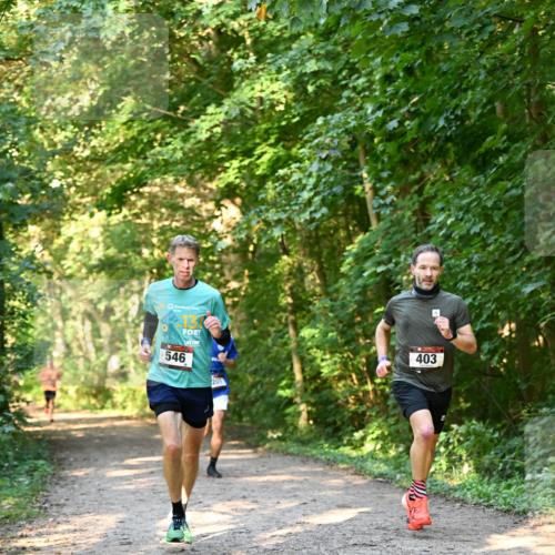 06.10.2024 - Bramfelder Halbmarathon 2024 Dr. Thomas Lammeyer http://msf.ph/oto/7334380 06.10.2024 09:50:12 Laufen  meine-sportfotos.de