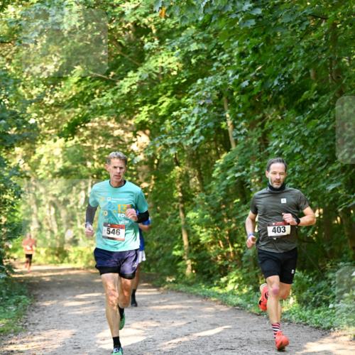 06.10.2024 - Bramfelder Halbmarathon 2024 Dr. Thomas Lammeyer http://msf.ph/oto/7334381 06.10.2024 09:50:12 Laufen 546, 403 meine-sportfotos.de