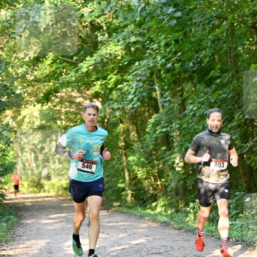 06.10.2024 - Bramfelder Halbmarathon 2024 Dr. Thomas Lammeyer http://msf.ph/oto/7334383 06.10.2024 09:50:12 Laufen 546, 403 meine-sportfotos.de