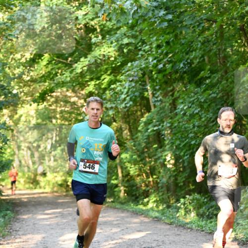 06.10.2024 - Bramfelder Halbmarathon 2024 Dr. Thomas Lammeyer http://msf.ph/oto/7334384 06.10.2024 09:50:12 Laufen 13, 546 meine-sportfotos.de