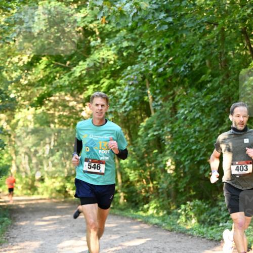 06.10.2024 - Bramfelder Halbmarathon 2024 Dr. Thomas Lammeyer http://msf.ph/oto/7334385 06.10.2024 09:50:12 Laufen 546, 403 meine-sportfotos.de