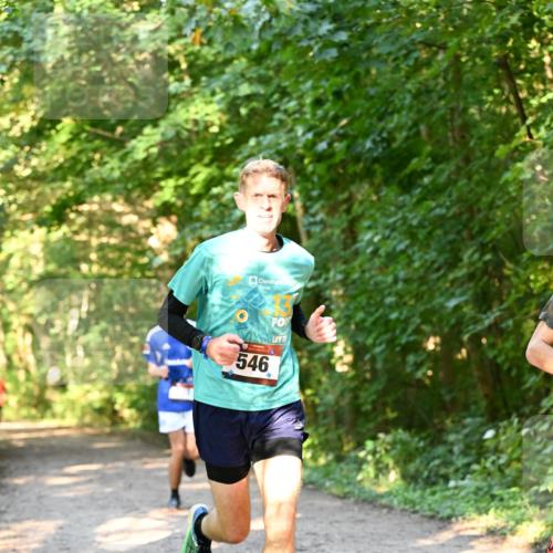 06.10.2024 - Bramfelder Halbmarathon 2024 Dr. Thomas Lammeyer http://msf.ph/oto/7334388 06.10.2024 09:50:13 Laufen 546 meine-sportfotos.de