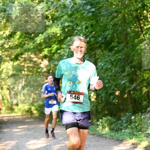 06.10.2024 - Bramfelder Halbmarathon 2024 Dr. Thomas Lammeyer http://msf.ph/oto/7334389 06.10.2024 09:50:13 Laufen 546 meine-sportfotos.de