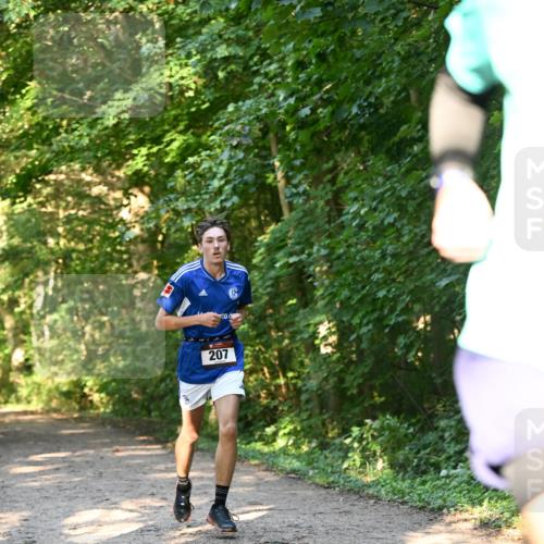 06.10.2024 - Bramfelder Halbmarathon 2024 Dr. Thomas Lammeyer http://msf.ph/oto/7334392 06.10.2024 09:50:14 Laufen 207 meine-sportfotos.de