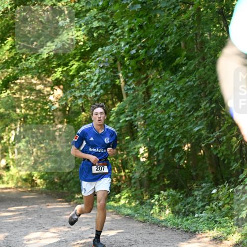 06.10.2024 - Bramfelder Halbmarathon 2024 Dr. Thomas Lammeyer http://msf.ph/oto/7334393 06.10.2024 09:50:14 Laufen 207 meine-sportfotos.de