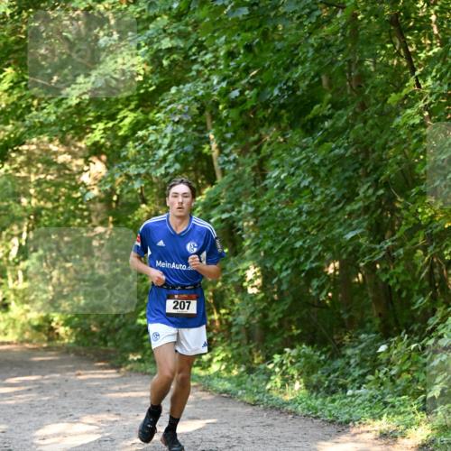 06.10.2024 - Bramfelder Halbmarathon 2024 Dr. Thomas Lammeyer http://msf.ph/oto/7334394 06.10.2024 09:50:14 Laufen 207 meine-sportfotos.de