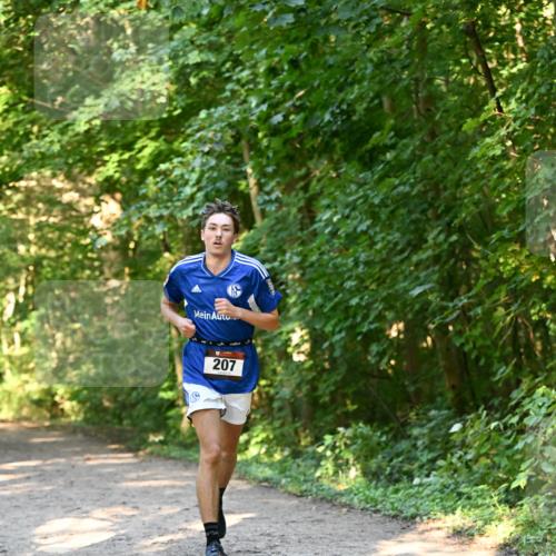 06.10.2024 - Bramfelder Halbmarathon 2024 Dr. Thomas Lammeyer http://msf.ph/oto/7334395 06.10.2024 09:50:14 Laufen 207 meine-sportfotos.de