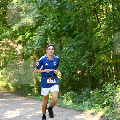 06.10.2024 - Bramfelder Halbmarathon 2024 Dr. Thomas Lammeyer http://msf.ph/oto/7334397 06.10.2024 09:50:14 Laufen 207 meine-sportfotos.de