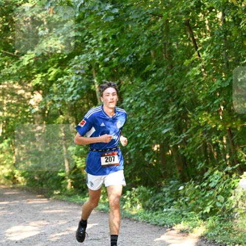 06.10.2024 - Bramfelder Halbmarathon 2024 Dr. Thomas Lammeyer http://msf.ph/oto/7334398 06.10.2024 09:50:14 Laufen 207 meine-sportfotos.de