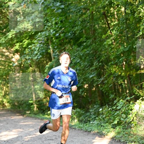 06.10.2024 - Bramfelder Halbmarathon 2024 Dr. Thomas Lammeyer http://msf.ph/oto/7334399 06.10.2024 09:50:15 Laufen 207 meine-sportfotos.de