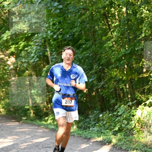 06.10.2024 - Bramfelder Halbmarathon 2024 Dr. Thomas Lammeyer http://msf.ph/oto/7334400 06.10.2024 09:50:15 Laufen 207 meine-sportfotos.de