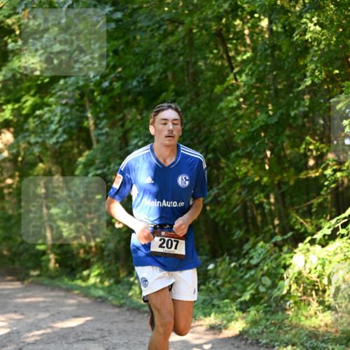 06.10.2024 - Bramfelder Halbmarathon 2024 Dr. Thomas Lammeyer http://msf.ph/oto/7334402 06.10.2024 09:50:15 Laufen 207 meine-sportfotos.de