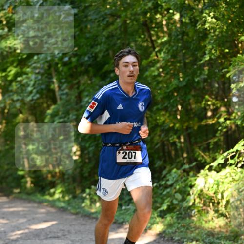 06.10.2024 - Bramfelder Halbmarathon 2024 Dr. Thomas Lammeyer http://msf.ph/oto/7334403 06.10.2024 09:50:15 Laufen 207 meine-sportfotos.de