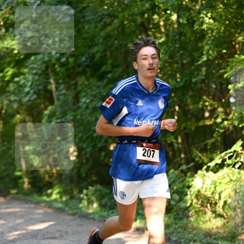 06.10.2024 - Bramfelder Halbmarathon 2024 Dr. Thomas Lammeyer http://msf.ph/oto/7334404 06.10.2024 09:50:15 Laufen 207, 1 meine-sportfotos.de