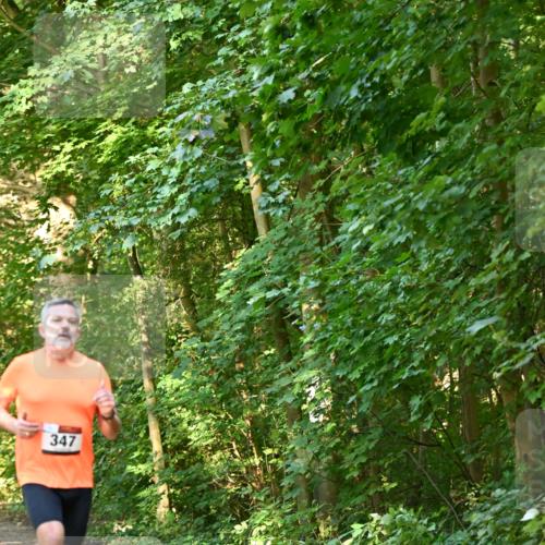 06.10.2024 - Bramfelder Halbmarathon 2024 Dr. Thomas Lammeyer http://msf.ph/oto/7334406 06.10.2024 09:50:21 Laufen 347 meine-sportfotos.de